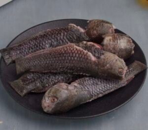 Koi Fish Frozen /  ငါးပြေမ
