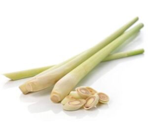 Frozen Lemongrass